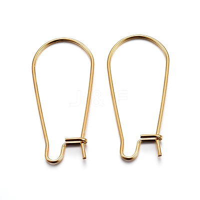 304 Stainless Steel Hoop Earring Findings STAS-P223-01G-04-1