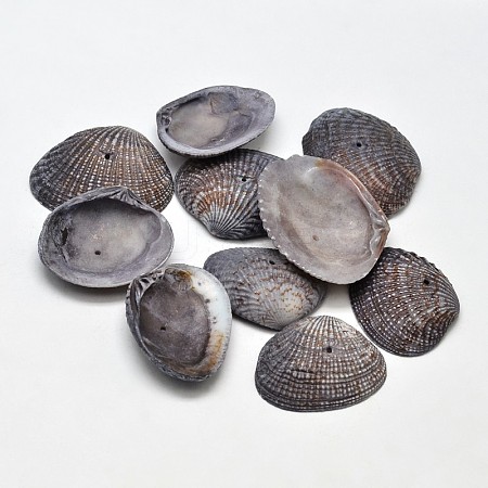 Dyed Natural Shell Beads BSHE-O007-54C-1