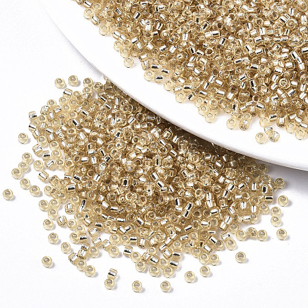 Glass Seed Beads X1-SEED-S042-04A-05-1