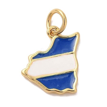 ack Plating Brass Enamel Charms KK-L220-017G-1