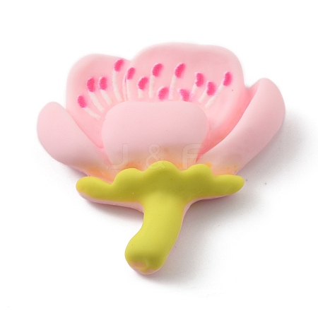 Opaque Resin Cabochons CRES-CJC0007-23C-1
