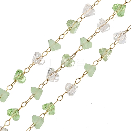 Glass & 304 Stainless Steel Beaded Chains SA-CBAD321-04C-1