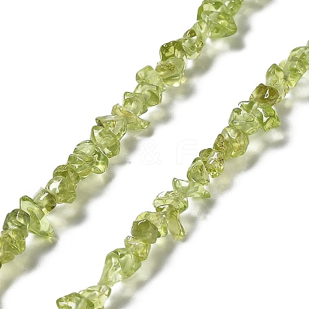 Natural Peridot Beads Strands G-E607-A06-1