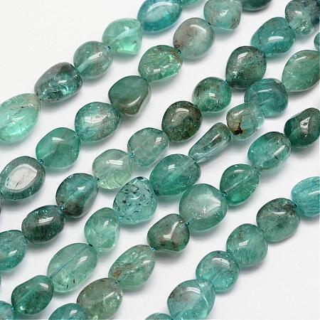 Natural Apatite Bead Strands G-L459-13-1