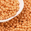 6/0 Glass Seed Beads X1-SEED-L011-08A-19-1