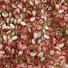 Glass Beads SEED-N007-32E-3