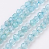 Natural Apatite Beads Strands G-F568-064B-1