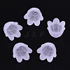 Transparent Acrylic Bead Caps FACR-N005-002F-1