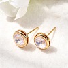 Brass Glass Stud Earrings EJEW-F391-05G-01-4