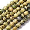 Natural Verdite Stone Beads Strands G-C242-03-10mm-2