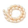 Natural Cultured Freshwater Pearl Beads Strands PEAR-I007-01H-02B-3