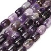 Natural Amethyst Beads Strands G-H319-A02-02-2