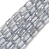 Electroplate Glass Beads Strands EGLA-D031-01-28-1