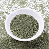 MIYUKI Delica Beads X-SEED-J020-DB2163-2