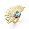Flower 304 Stainless Steel Paua Shell Finger Rings for Women RJEW-G346-11G-01-4