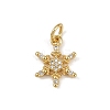 Brass Micro Pave Cubic Zirconia Charms KK-H077-02G-04-1