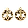 304 Stainless Steel Pendants SA-CBA1839-20G-1
