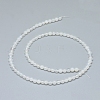 Natural White Agate Beads Strands G-D0005-27-4mm-2