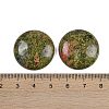 Natural Unakite Cabochons G-H1596-FR-25mm-09-3