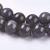 Natural Ice Obsidian Bead Strands X-G-E468-D01-3