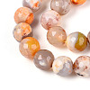 Dyed & Heated Natural Fire Crackle Agate Beads Strands G-N359-01B-10-4