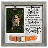 MDF Pet Photo Frames DIY-WH0525-009-1