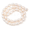 Natural Cultured Freshwater Pearl Beads Strands PEAR-F020-21-3