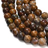 Natural Wealth Stone Beads Strands G-C289-B01-6mm-3