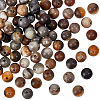 100Pcs Natural Amazonite Beads G-OC0004-14-1