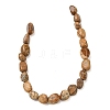 Natural Picture Jasper Beads Strands G-C286-A07-4
