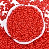 Baking Paint Glass Seed Beads X1-SEED-K010-A12-3