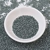 MIYUKI Delica Beads SEED-J020-DB0697-2