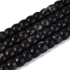 Natural Biotite Beads Strands G-Q616-02A-12-2