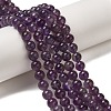 Natural Gemstone Beads Strands G-S035-8