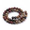 Natural Polychrome Jasper/Picasso Stone/Picasso Jasper Beads Strands G-S259-23-12mm-2