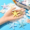 10Pcs Resin Decoden Cabochons CRES-YW0001-42-4