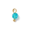 Natural Agate(Dyed & Heated) Faceted Round Charms PALLOY-JF04286-01-3