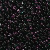 Spray Painted Glass Seed Beads SEED-F005-10A-03-3