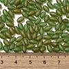 Transparent Colours Glass Seed Beads X-SEED-F006-03A-04-4