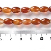 Natural Red Agate Beads Strands G-I369-B11-01-5