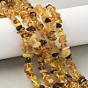 Natural Amber Beads Strands G-L095-D01-04-1