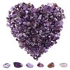 Natural Amethyst Chip Beads G-SC0001-21-1