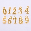 Tibetan Style Alloy Pendants TIBEP-TAC0001-14G-1