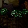 Resin Miniature Luminous Mushroom Ornaments AJEW-WH0326-72-6