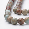 Natural Aqua Terra Jasper Strands G-S150-50-6mm-3