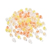 100Pcs Transparent Glass Beads X1-GLAA-P061-01D-2