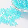 Eco-Friendly Transparent Acrylic Beads LS-X-PL736-7-1