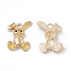 Alloy Enamel Pendants LS-ENAM-C006-05KCG-05-2