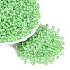 FGB Glass Seed Beads SEED-Q040-08A-09-1