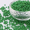 8/0 Glass Seed Beads X2-SEED-A010-3mm-47-1